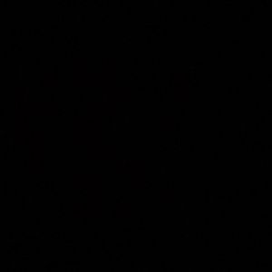 Meet your Posher, Salma